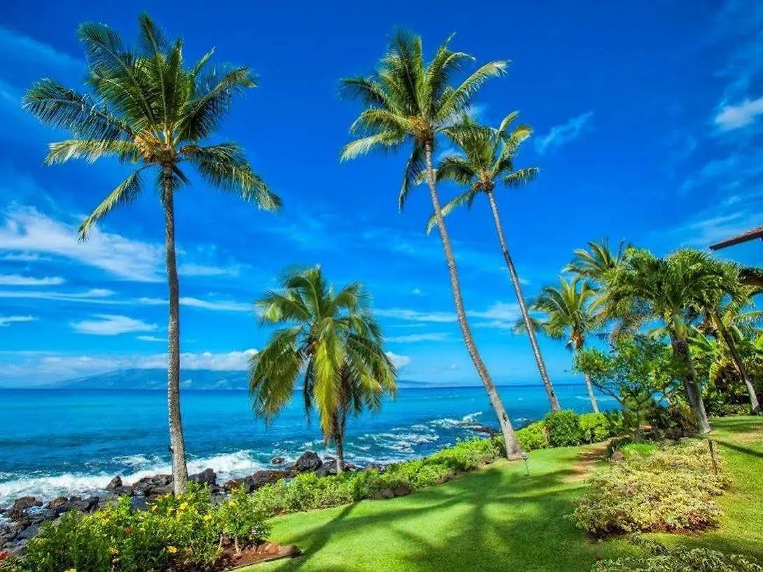 Mahina Surf 220 By Redawning Lejlighedshotel Lahaina